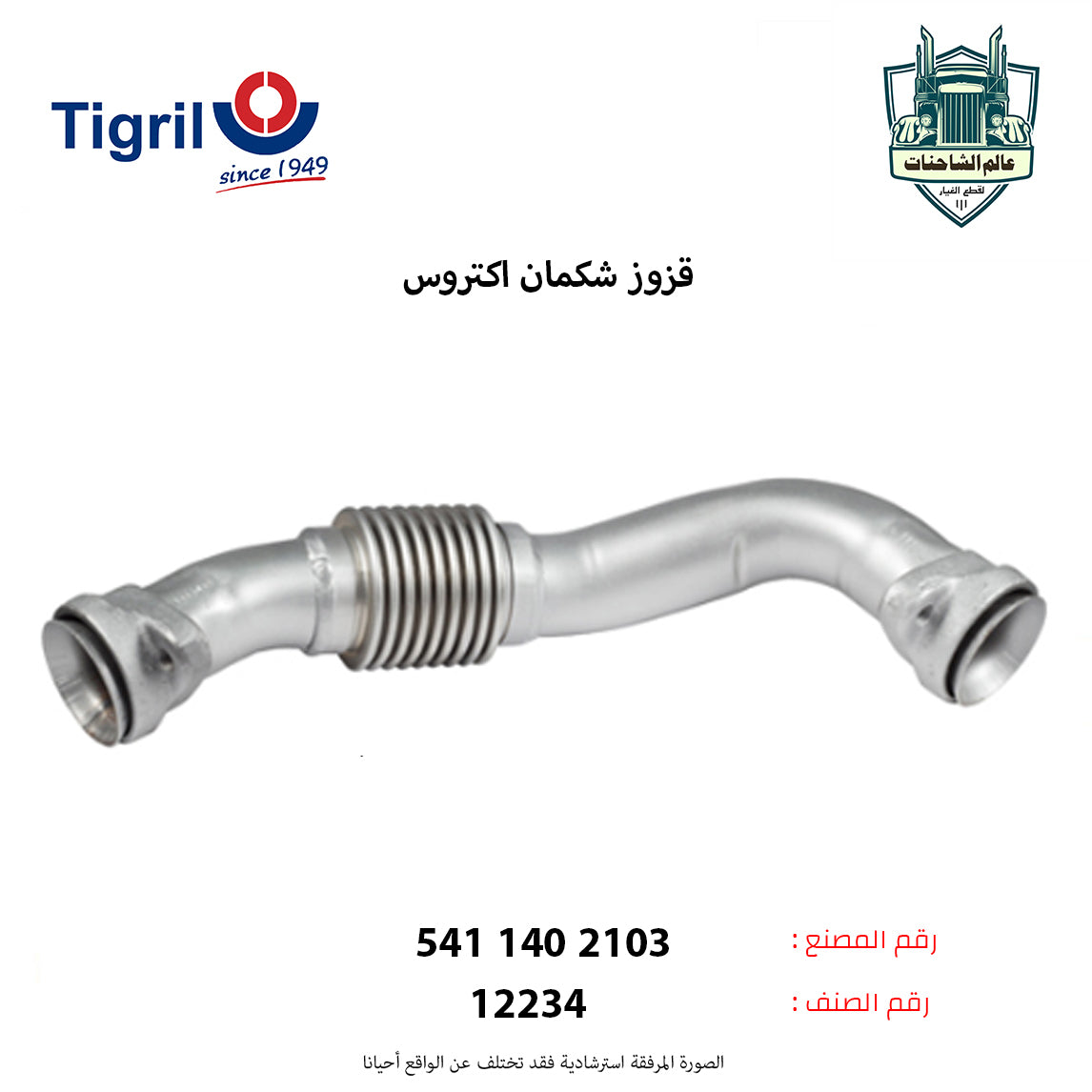 قزوز شكمان اكتروس