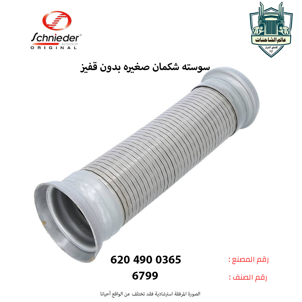 سوسته شكمان صغيره بدون قفيز