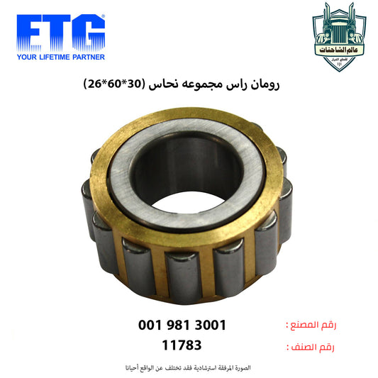 رومان راس مجموعه نحاس (30*60*26)