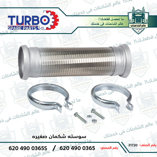سوسته شكمان صغيره