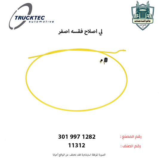 لي اصلاح فقسه اصفر