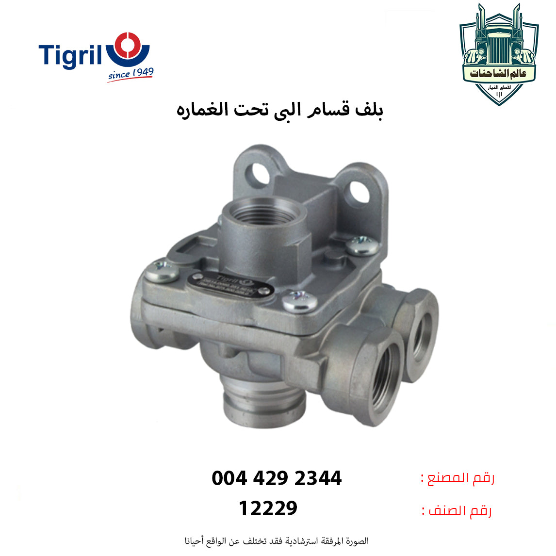 بلف قسام البى تحت الغماره