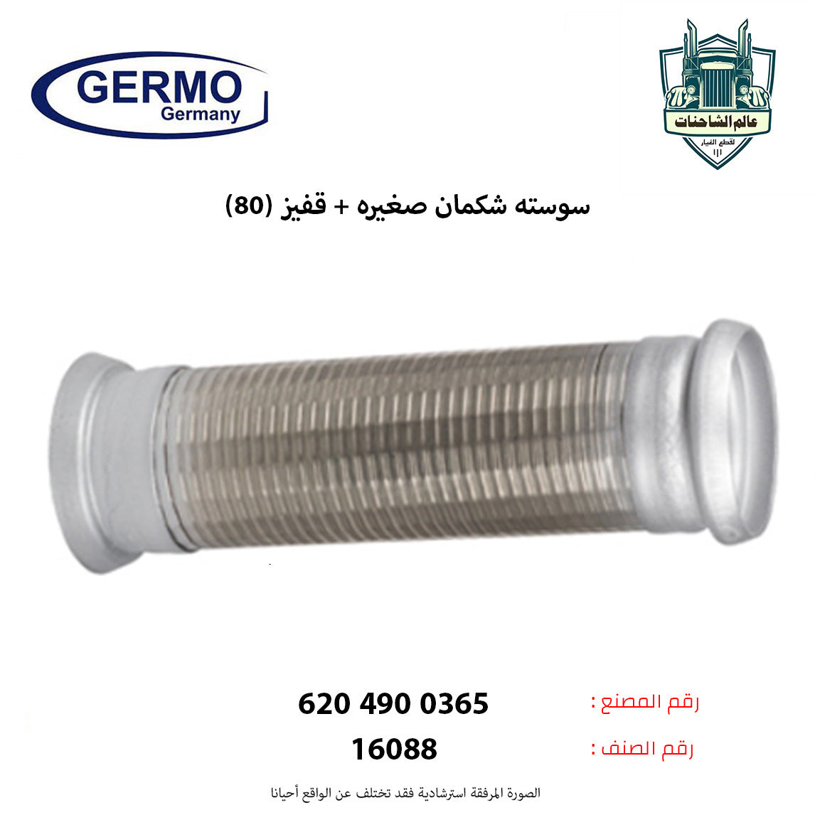 سوسته شكمان صغيره + قفيز (80)