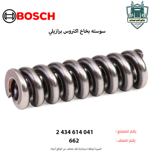 سوسته بخاخ اكتروس برازيلي